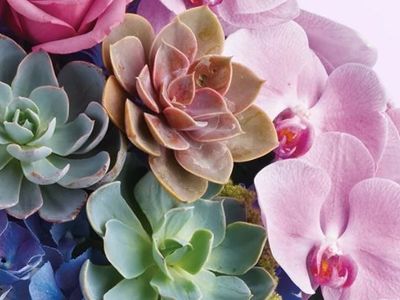 Margarets Fernlea Flowers and Gifts, Tillsonburg