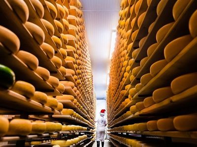 The 2021 Cheese Trail Gift Guide