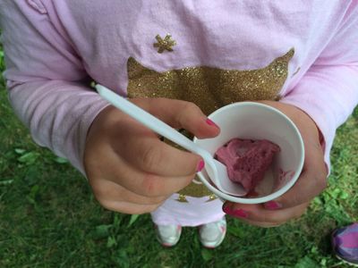 Paneer Berry Ice