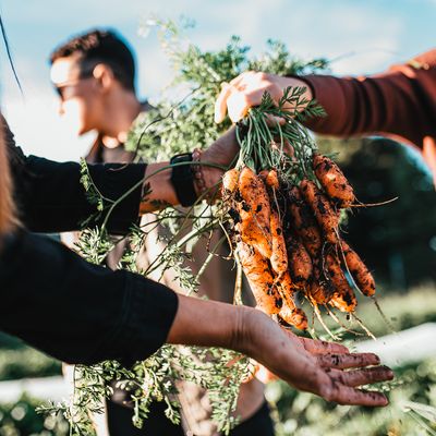 Community Supported Agriculture