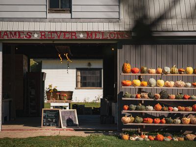The Fall Bucket List