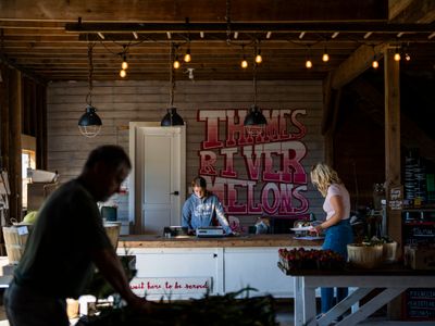 Thames River Melons: A pick-your-own paradise and cozy farm market