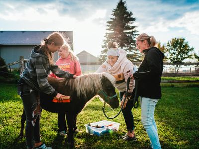 Transitions Equine Assisted Learning