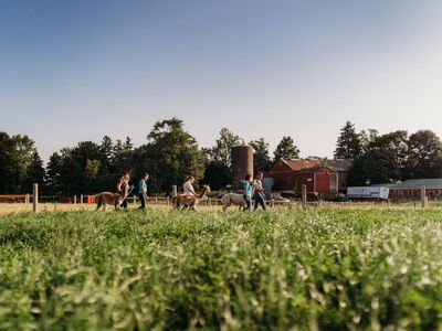 A Taste of Farm Life: Experience Udderly Ridiculous Farm Life