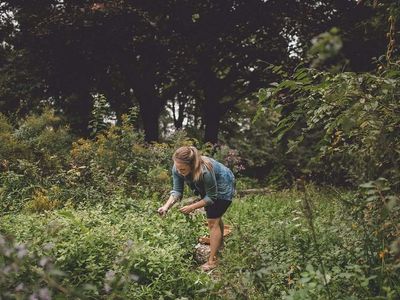 Wildlife Gardening