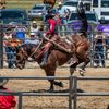 Extreme Bulls and Bikes Show