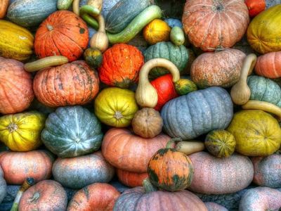 Oh my gourd! You'll love this pumpkin fun. 